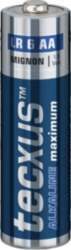 Tecxus Mignon AA Type Standard Batteries