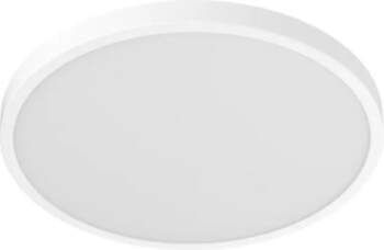 Xiaomi Mi Smart Ceiling Light D30