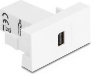 Delock Easy 45 - Click-in Module