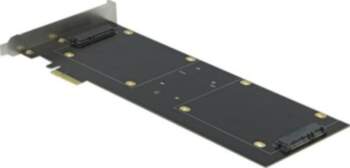 DeLOCK Storage Control Unit (RAID)