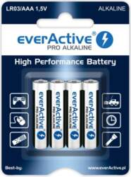EAV Alkaline batteries AAA / LR03