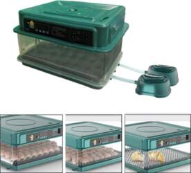 Automatic Egg Incubator LED Display Chick