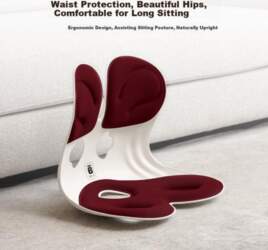 BKT Lumbar Support Cushion, Back Pillow