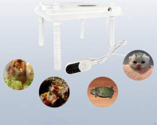 Chick Brooder sildīšanas plate, mājputnu kūts
