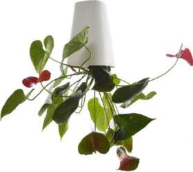 Hanging Flower Pot Upside Down Planter