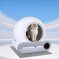 Large intelligent cat litter box T1