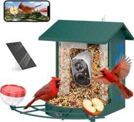 Smart Bird Feeder Camera 2K HD