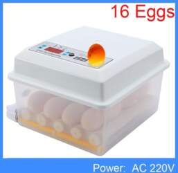 110V/220V Olas Inkubators Brooderis Putnu Paipalu