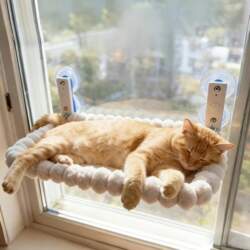 Cat Window Hammock with Strong Suction