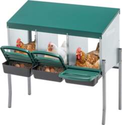Chicken Nesting Boxes with 3 Nesting