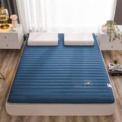 Foldable Soybean Fiber Tatami Mat -