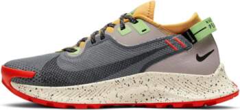 Nike Pegasus Trail 2 Gore Tex