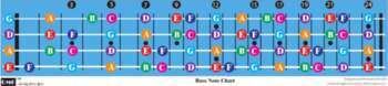 QMG Bass Guitar Fretboard Note Chart