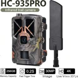 4K Live APP Clould Service Hunting