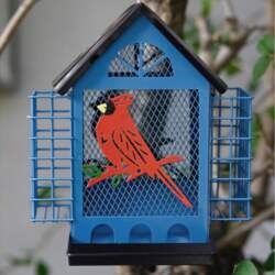 Bird Feeder Squirrel Proof With Double