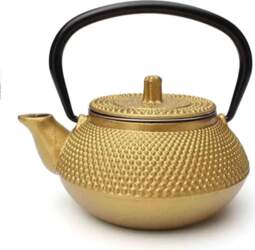 Cast Iron Tea Pot Pot Japanese