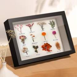 DIY Shadow Box rāmja displejs 5