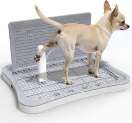 Dog Potty Training Pad, Fence Design