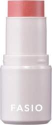 Fasio Multi Face Stick 4g 03