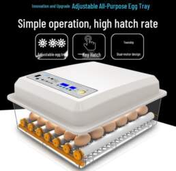 Fully Automatic Intelligent Incubator for Chicken