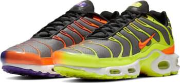 Nike Air Max Plus Color Flip