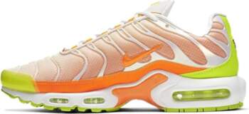 Nike Air Max Plus Color Flip