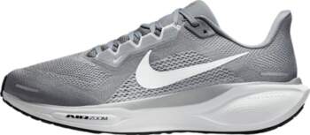 Nike Pegasus 41 Cool Grey Wolf