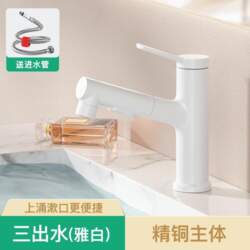 Pull Out Bathroom Sink Faucet 3