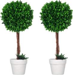 Set of 2 Artificial Boxwood Trees