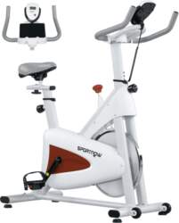 Silent Exercise Bike with Adjustable Saddle