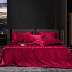 Solid 4pcs Silk Bedding Set with