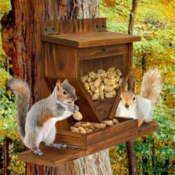 Squirrel Feeder Wall Mounted Sturdy, Large