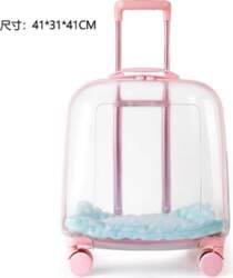 Transparent Space Capsule Pet Outing Bag