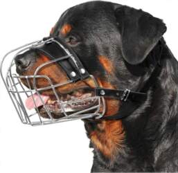 XL Metal Dog Muzzle for Large