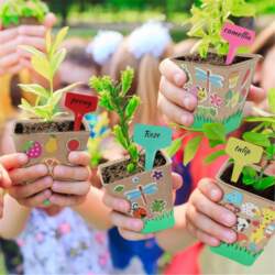 2025+ 50 Set Garden Paper Pot