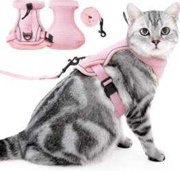 Adjustable Reflective Cat Harness with 1