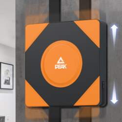 Boxing Wall Target Mounted Punching Pad