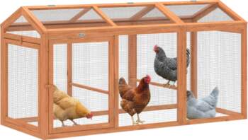 Chicken Coop Free-Range Run with Perch