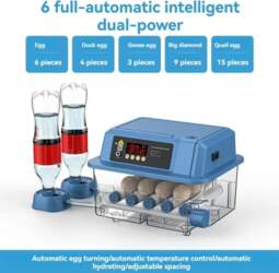 Egg Automatic Incubator for Egg Brooder