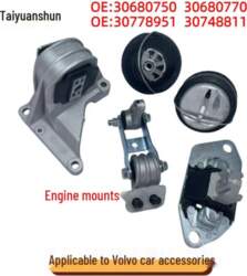 Engine Mount Bracket and Bushing for