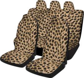 Full Set Leopard Print Five Seat