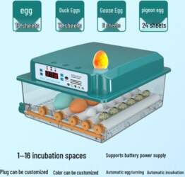 Fully Automatic Intelligent Egg Incubator for