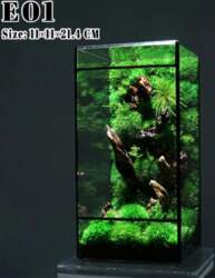 Geometric Glass Terrarium Vase, Rectangular Planter