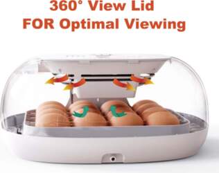 Incubator for Hatching Eggs  Automatic Egg