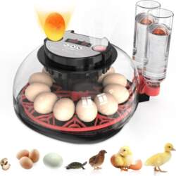 Incubators for Hatching Eggs Automatic Egg