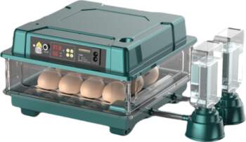 Intelligent Eggs Incubator Automatic Turning Temp