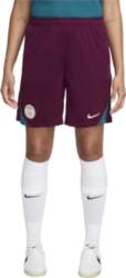 Nike Paris Saint-Germain Strike Simple Comfortable