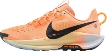 Nike Pegasus Trail 5 Nike React