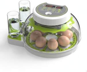 Ovum Incubator, Automatic Temperature & Humidity