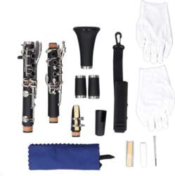 Professional Bb Clarinet Engineering Plastic 17